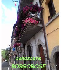 Borgorose fiori