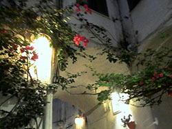 Sperlonga. Un particolare nel Borgo Sperlonga. Particolare fiori nel Borgo