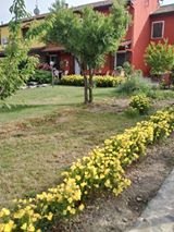 Gra Siepe fiorita Fiori siepe